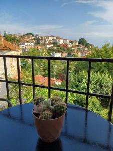 Balkón nebo terasa v ubytování Maravelias Rooms