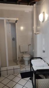 a bathroom with a toilet and a shower in it at Residence Il Cantiere in Predore