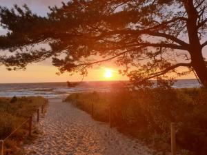 a sunset on a beach with a tree and the ocean at Ferienwohnung Gentzen in Baabe