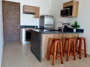 Kuchyň nebo kuchyňský kout v ubytování Condominio en la Riviera Maya