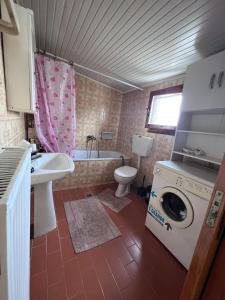 uma casa de banho com um WC e uma máquina de lavar roupa. em Traditional villa Palio em PalaiónTsiflíkion