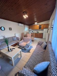 uma sala de estar com sofás e uma mesa e uma cozinha em Traditional villa Palio em PalaiónTsiflíkion