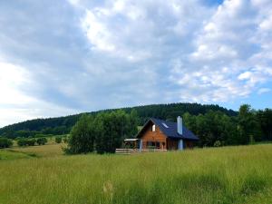 a wooden house in a field in the middle of a field at Domek na Górce in Rabe