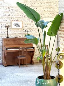 a plant in a vase next to a piano at Magnifique Loft - Piscine - Tennis - Babyfoot in Nîmes