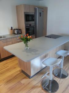 Seydisfjördur Guesthouseにあるキッチンまたは簡易キッチン