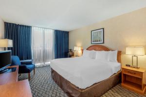 Postel nebo postele na pokoji v ubytování Clarion Hotel Anaheim Resort