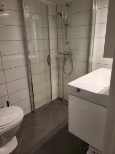 ein Bad mit einer Dusche, einem WC und einem Waschbecken in der Unterkunft Sokkelleilighet rett ved Saltstraumen in Bodø