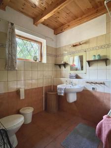 een badkamer met een wastafel, een toilet en een raam bij Anika dom w lesie nad jeziorem Słupinko in Dziemiany