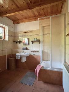 a bathroom with a shower and a sink and a tub at Anika dom w lesie nad jeziorem Słupinko in Dziemiany