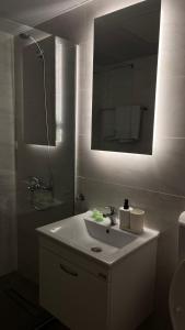 ein Bad mit einem Waschbecken, einer Dusche und einem Spiegel in der Unterkunft 4M Apartments in Ohrid