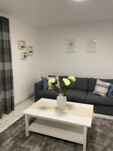 Гостиная зона в Jardines Apartment