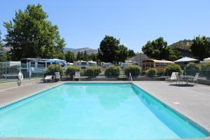 une grande piscine bleue avec des chaises et des arbres dans l'établissement Americas Best Value Inn - Phoenix / Ashland, à Phoenix