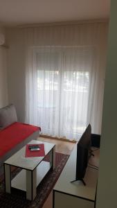 TV a/nebo společenská místnost v ubytování Apartman Borko 2-1 + 3 fotografie