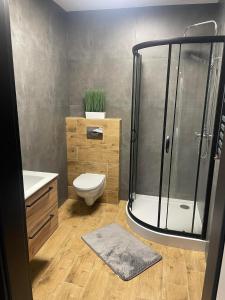 Koupelna v ubytování Pokoje I Apartamenty Polna 19