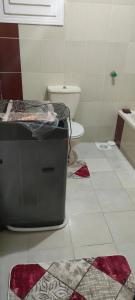 ein Badezimmer mit WC und zwei Teppichen auf dem Boden in der Unterkunft العجمى الكيلو 21 شاطئ النخيل in Alexandria