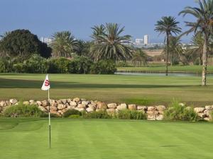 ein Golfplatz mit einer Flagge auf einem Grün in der Unterkunft La Casa del Pico in Mar de Cristal