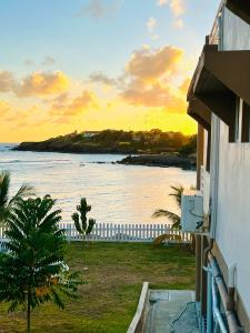 聖喬治的住宿－SeaLaVie Apartments - Grenada，房屋的阳台享有海景。