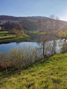 vistas a un río con árboles en un campo en Dreamcatcher & Retro Hostel, en Žužemberk