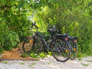 Una bicicleta negra estacionada bajo un árbol. en Gite à la campagne à Dijon avec jardin, en Velars-sur-Ouche