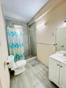 a bathroom with a toilet and a sink at SeaLaVie Apartments - Grenada in Saint Georgeʼs
