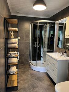 uma casa de banho com um chuveiro, um lavatório e um espelho. em Gårdsopphold Notodden em Notodden