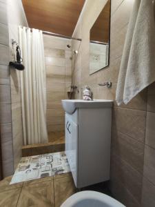 a bathroom with a toilet and a sink and a shower at Карпатський куточок in Slavske +97 photos