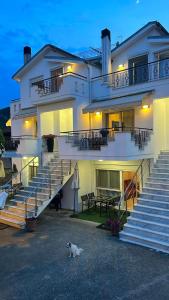 a dog sitting in front of a building at White Paradise in Paleo Tsifliki