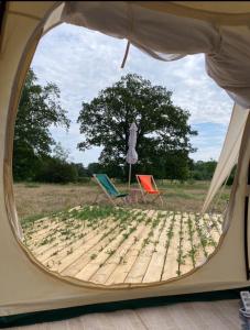 a view of a tent with two chairs and a tree at Galleriet BnB in Stenkyrka