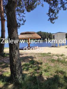 Fotografie z fotogalerie ubytování ROZTOCZE, Domek Na Leśnym Wzgórzu, Zwierzyniec, Krasnobród,Zamość v destinaci AdamÃ³w