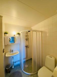 uma casa de banho com um chuveiro, um WC e um lavatório. em Brunns Lake House em Ulricehamn