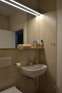 a bathroom with a sink and a mirror at APARTMA VODNIK in Bohinj