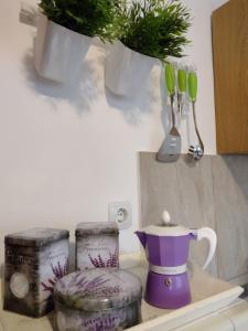 a kitchen counter with plants and a pot on a shelf at Apartment ANGELOVE in Senj