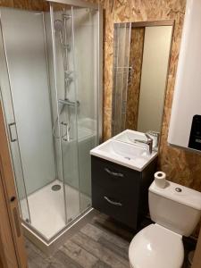 een badkamer met een douche, een toilet en een wastafel bij Chalet 1 in Verrières