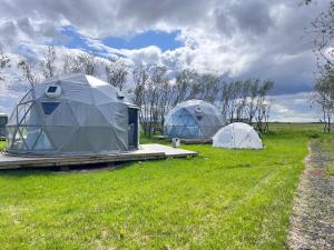 zwei Zelte auf einem Grasfeld mit einer Straße in der Unterkunft Iceland Igloo Village in Hella