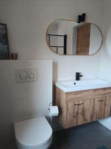 a bathroom with a toilet and a sink and a mirror at Ferienwohnungen Aumayr in Gutau