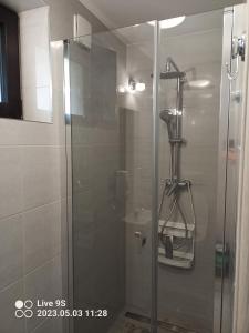 y baño con ducha y puerta de cristal. en Noclegi MAJA, en Solina