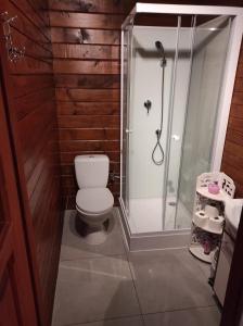 a bathroom with a toilet and a shower at Domki Jagoda in Dębki