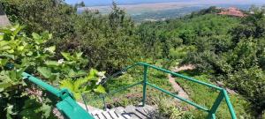 Paesaggio naturale nelle vicinanze dell'affittacamere