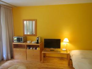 TV a/nebo společenská místnost v ubytování 1-Zimmer-Apartment