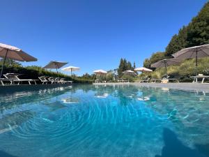 蒙塔伊奧內的住宿－Antico Casale Rodilosso，一个带椅子和遮阳伞的大型蓝色海水游泳池
