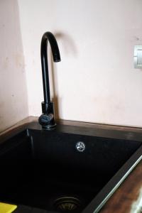 a black kitchen sink with a black faucet at EcoXata in Slavske