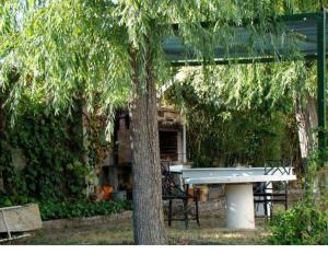 een picknicktafel en een bank naast een boom bij casa cumial in Ourense