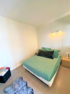 1 dormitorio con 1 cama con sábanas verdes y alfombra en Lucy Appart, en Roanne