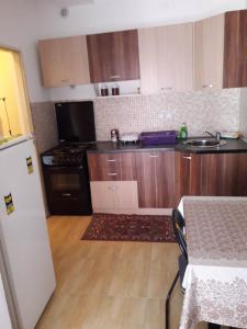 a kitchen with a sink and a refrigerator and a table at Apartman Katarina in Vranje