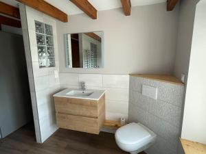 een badkamer met een wastafel, een toilet en een spiegel bij Maison de campagne rénovée 