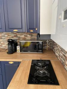 Kuchyň nebo kuchyňský kout v ubytování Casa Cojocaru