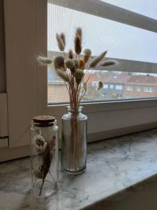 a vase with flowers in it on a window sill at Bel-etage Bruges Homestay - Free parking - Entire floor in Bruges