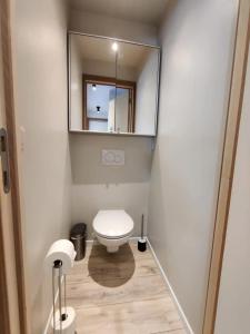 a small bathroom with a toilet and a mirror at Bel-etage Bruges Homestay - Free parking - Entire floor in Bruges