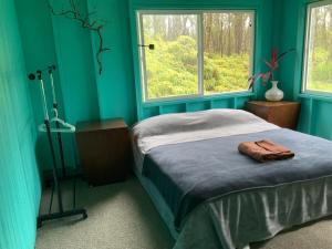 a blue bedroom with a bed and two windows at Simple Rustic studio deluxe bed in tropical fruits garden in Mountain View