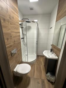 uma casa de banho com um chuveiro, um WC e um lavatório. em Noclegi Europol em Siemianowice Śląskie